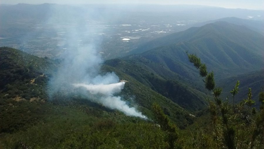 CONAF y Bomberos controlaron incendio forestal que mantiene con alerta roja a Olmué