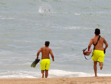 La Armada y alcaldesa de Viña del Mar dan inicio a temporada de playas