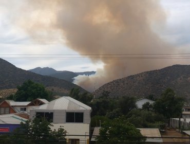 Incendio forestal afecta a cerros en la comuna de Las Condes