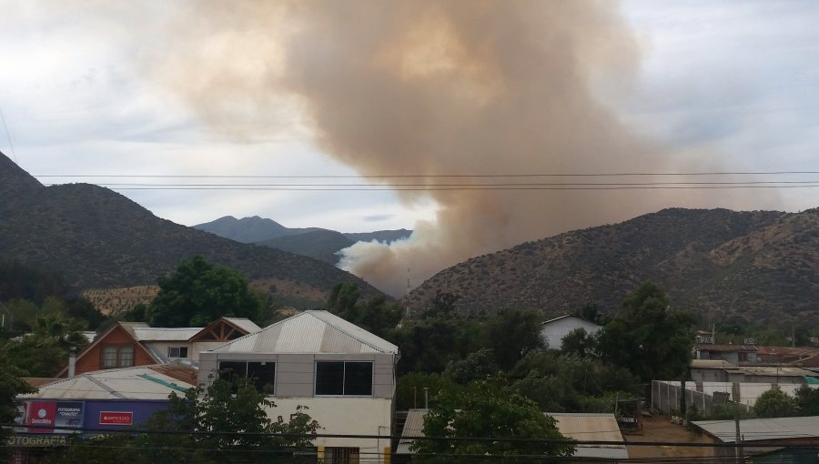 Incendio forestal afecta a cerros en la comuna de Las Condes