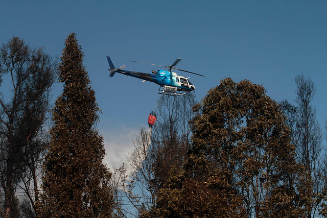 Alerta roja por incendio forestal en jardines de hospital psiquiátrico El Peral