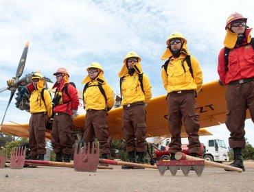 Alerta amarilla por incendios forestales entre regiones de Coquimbo y Maule