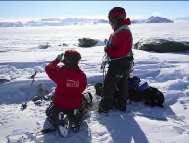 Científicos chilenos descubren en la Antártica microorganismo que resiste la radiación