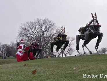 Así podrían ser los renos que viajen con el Viejito Pascuero en el futuro