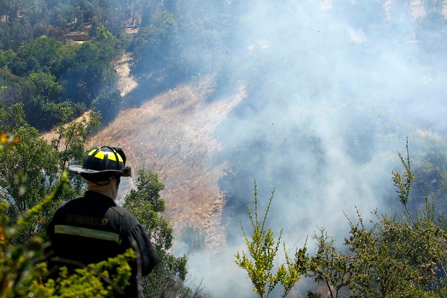 Declaran alerta roja en comuna de La Estrella por incendio forestal