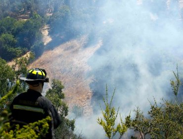 Declaran alerta roja en comuna de La Estrella por incendio forestal