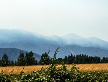 Activo se mantiene incendio forestal conflictivo en Melipilla