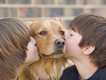 Cinco cuidados para que su mascota no sufra con la pirotecnia de Año Nuevo