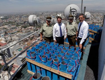 Intendente Orrego: Fiesta de Fin de Año de la torre Entel cuenta con sello verde