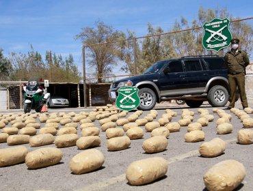 Carabineros decomisa casi 17 mil kilos de droga durante 2015