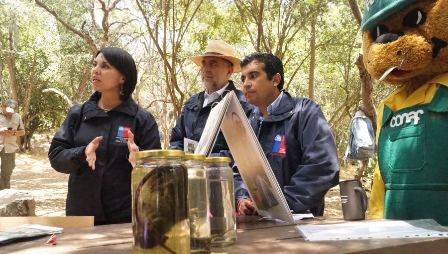 Autoridades entregaron consejos de prevención de virus hanta en parque La Campana