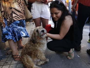 Apedrearon restorán peruano por garzón que quemó a perro con agua hirviendo