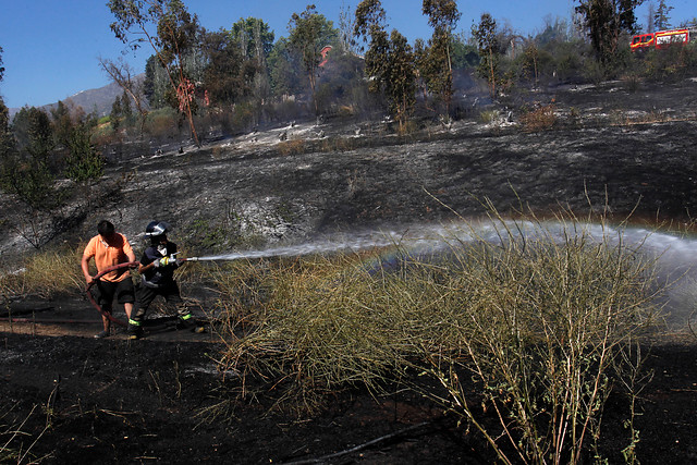 Conaf Advierte Por Alto Riesgo De Incendios Forestales Entre Este