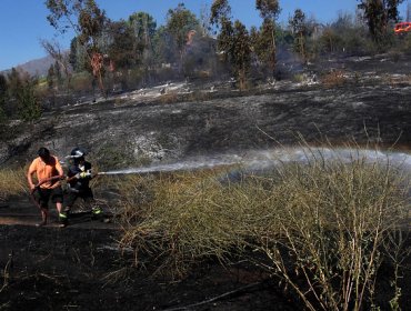 Conaf advierte por alto riesgo de incendios forestales entre este jueves y el viernes