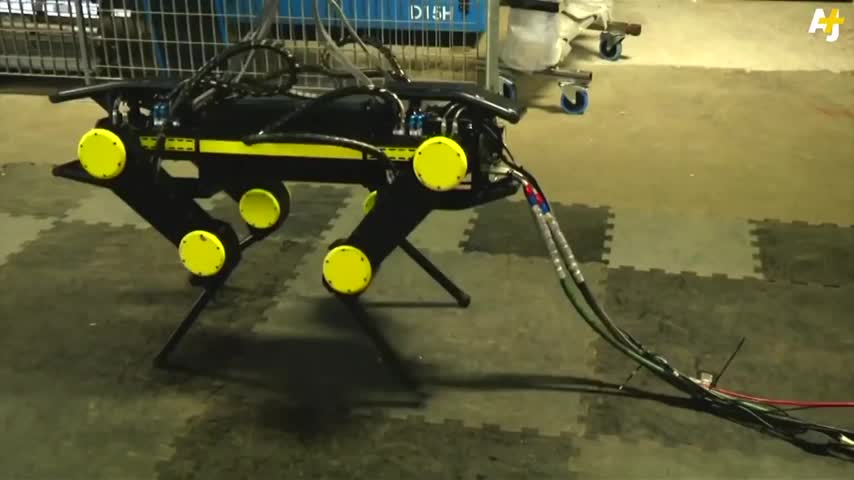 Robot de cuatro patas puede ser una nueva alternativa para situaciones de emergencia