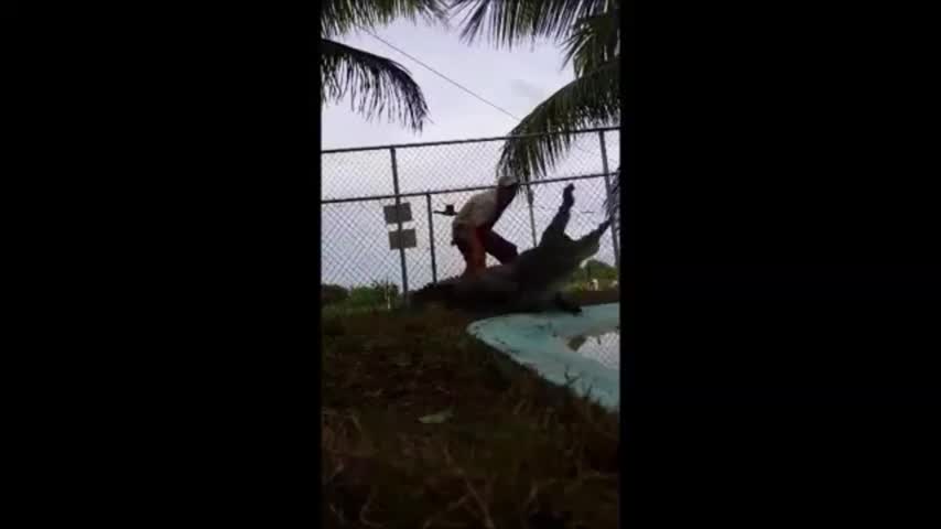¡De Milagro! Hombre se salva por segundos de ser mordido por un cocodrilo
