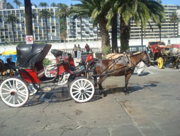 Buscan solución al tema de los coches Victoria desde Gobernación