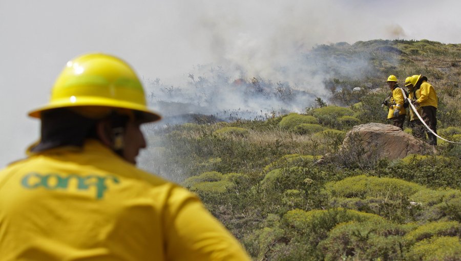 Se declara Alerta Amarilla para la Comuna de El Tabo