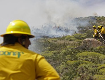 Se declara Alerta Amarilla para la Comuna de El Tabo