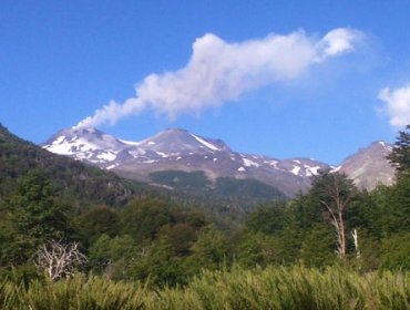 Volcán Nevados de Chillán: Nuevo pulso volcánico es detectado este sábado