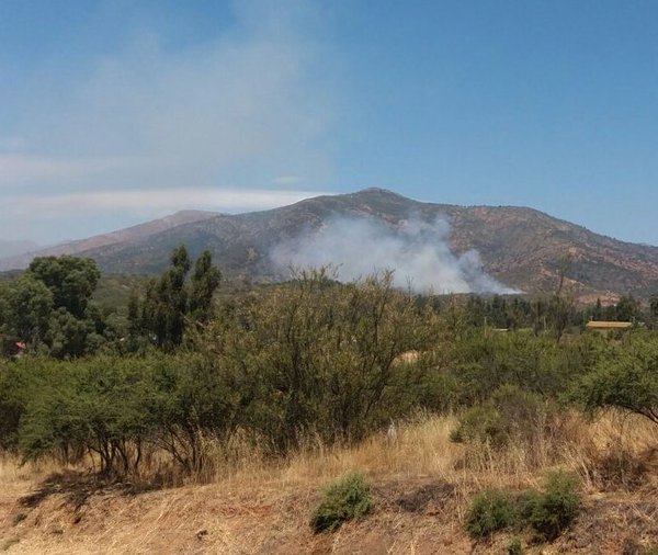 Alerta Amarilla por incendio forestal en Villa Alemana