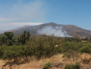 Alerta Amarilla por incendio forestal en Villa Alemana