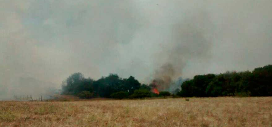 Onemi declara alerta Roja por incendio en Santo Domingo