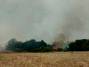 Onemi declara alerta Roja por incendio en Santo Domingo