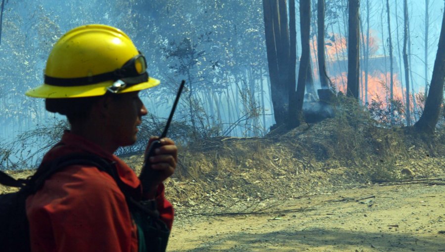 CONAF pide extremar prevención de incendios forestales ante ola de calor en la región de Valparaíso