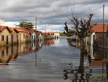 Video: Una amenaza inminente para la humanidad, explicada en 2 minutos