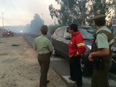 V Región: Gobernación de Marga Marga y Conaf piden “extremar cuidados” ante incendios