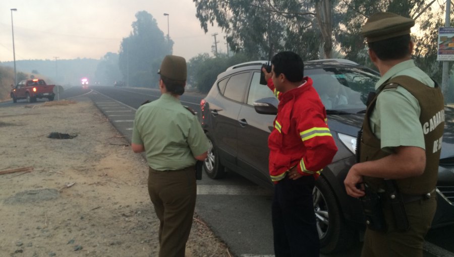 V Región: Gobernación de Marga Marga y Conaf piden “extremar cuidados” ante incendios