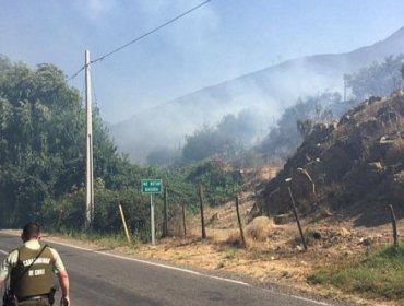 Se declara Alerta Roja para la comuna de La Calera por incendio forestal