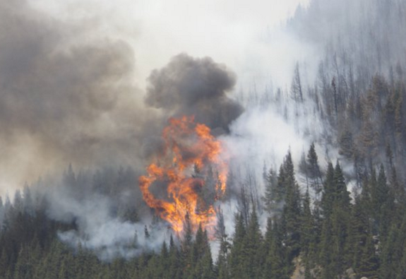 Incendio cerro Divisadero: Ola de calor y poca humedad dificulta labores