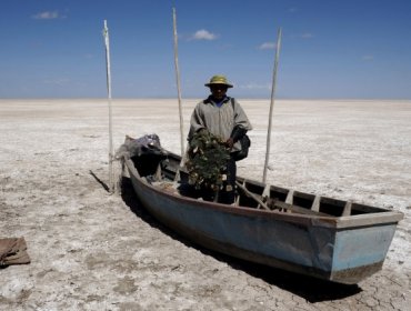 Desastre natural en Bolivia: millones de animales mueren tras desparecer un lago