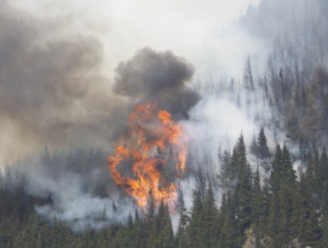 Incendio cerro Divisadero: Ola de calor y poca humedad dificulta labores