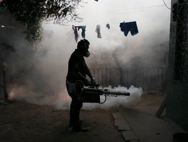 El virus del Zika no da tregua y obliga a los Gobiernos latinoamericanos a 'prohibir' embarazos