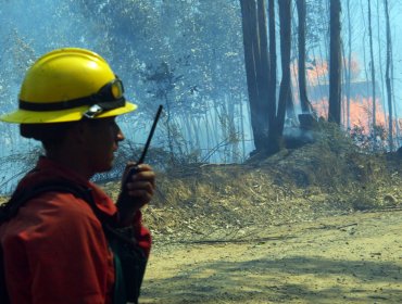 CONAF y Bomberos combaten incendio forestal que mantiene con alerta roja a Quintero y Puchuncaví