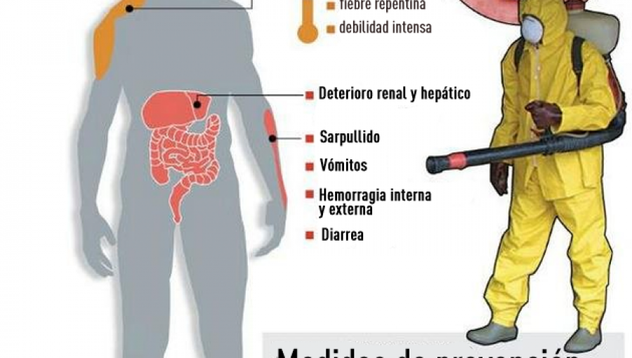 Surge una segunda generación de virus del Ébola y la OMS no sabe cómo controlarla