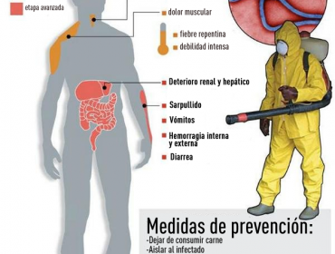 Surge una segunda generación de virus del Ébola y la OMS no sabe cómo controlarla