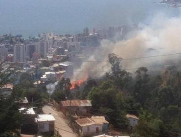 Viña del Mar: Controlan Incendio forestal en Nueva Aurora