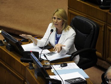 Senadora Lily Pérez advierte a Codelco Andina: “No aceptaremos un 244 disfrazado y de espaldas a la comunidad”