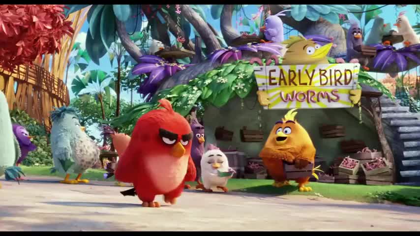 Divertidísimo trailer de "The Angry Birds Movie"