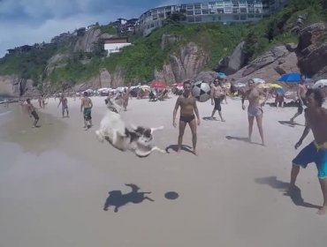 Simpático perro juega a que no caiga la pelota con su dueño y unos amigos