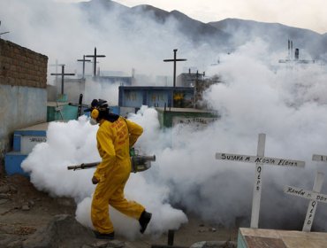 La OMS declara emergencia internacional por el virus del Zika