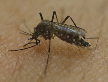 Registran en EE.UU. el primer contagio de zika por vía sexual