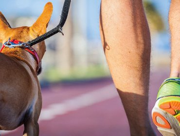 Los perros ayudan a curar el cáncer en personas