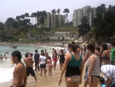 Seremi de Salud decretó prohibición de baño en Playas El Canelo y El Canelillo por presencia de fragata portuguesa