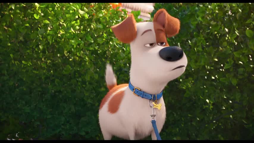 Mira el entretenido segundo trailer de "La Vida Secreta de Tus Mascotas"