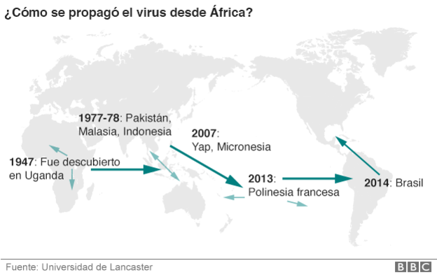 Chile: cómo ha logrado la Isla de Pascua evitar al virus zika y convivir con el mosquito